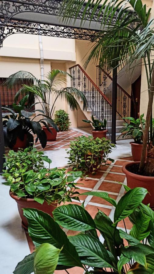 Botanic Suite Malaga Zewnętrze zdjęcie